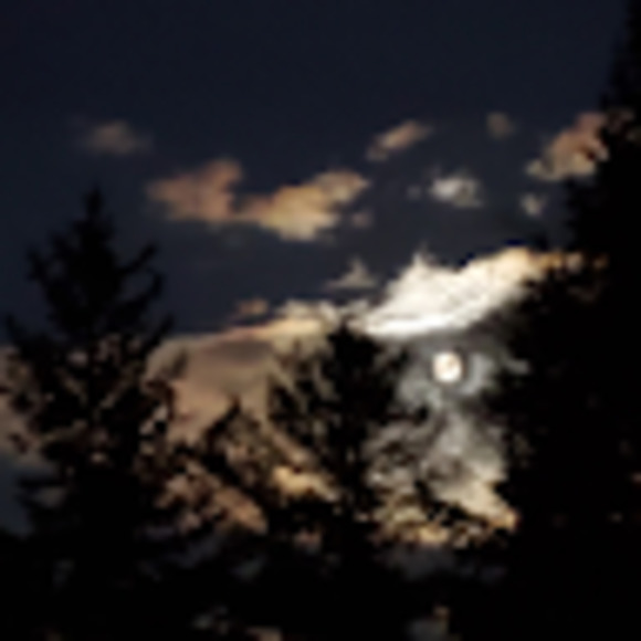 Meet your Posher, B - Picture 1 of 1